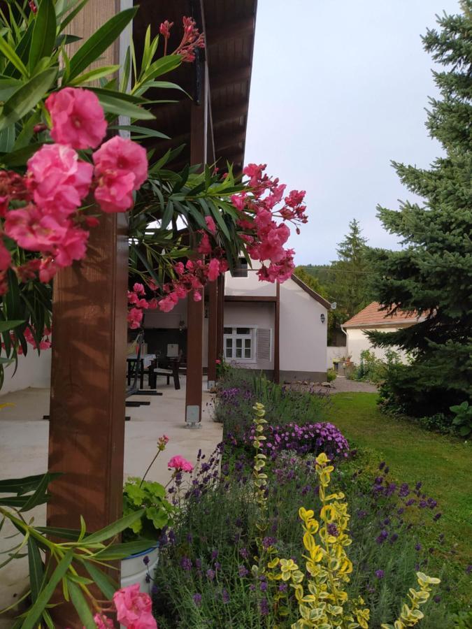 Ribizli Vintage Apartman *